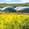 Produire de l'énergie biogaz par méthanisation à partir de déchets agricoles, bio déchets, IAA (injection et cogénération)
