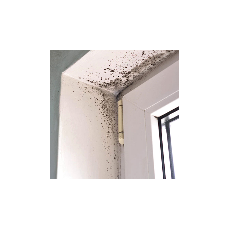 Diagnostiquer, entretenir & connaître les pathologies des systèmes de ventilation dans l'existant (maison individuelle)