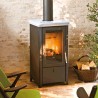 RGE - Devenir référent technique Equipements biomasse vecteur Air : poêles, inserts, foyers (Qualibois Air)